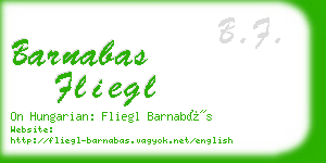 barnabas fliegl business card